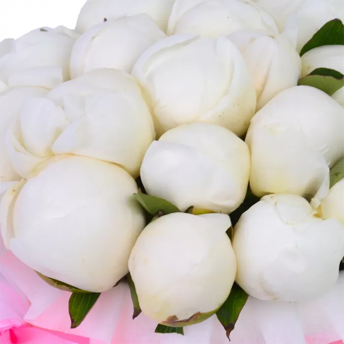 Букет из 25 белых пионов в кремовой шляпной коробке