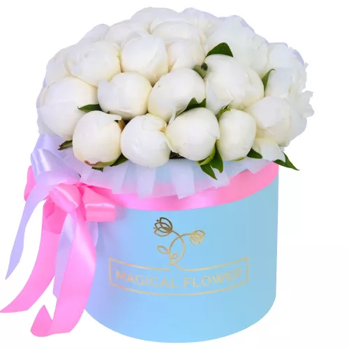 Букет из 25 белых пионов в голубой шляпной коробке