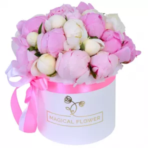 Букет из 25 разноцветных пионов в белой шляпной коробке