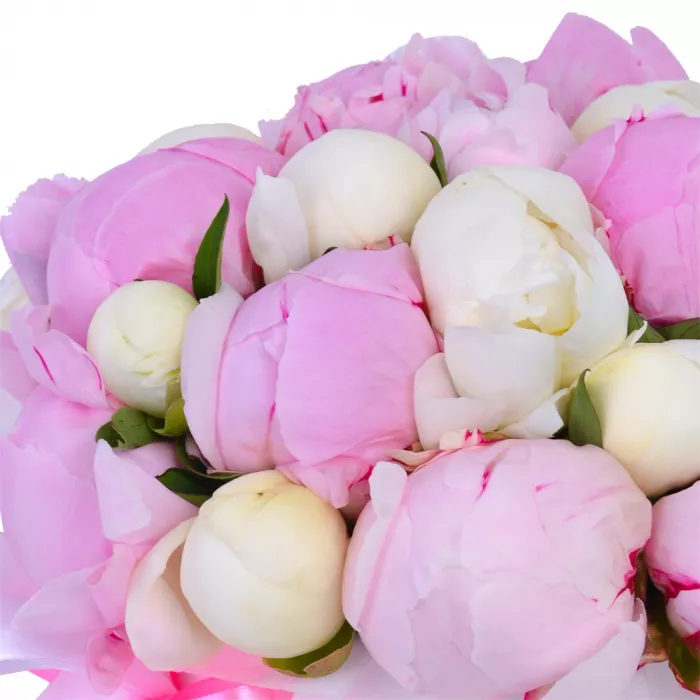 Букет из 25 разноцветных пионов в белой шляпной коробке