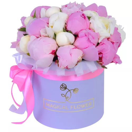 Букет из 25 разноцветных пионов в фиолетовой шляпной коробке