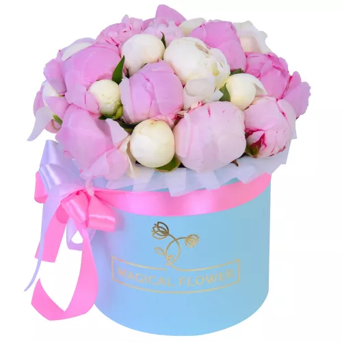 Букет из 25 разноцветных пионов в голубой шляпной коробке