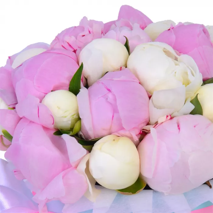 Букет из 25 разноцветных пионов в голубой шляпной коробке