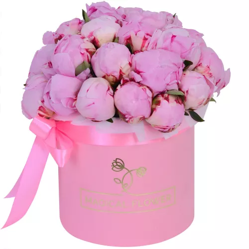 Букет из 25 розовых пионов Сара Бернар в розовой шляпной коробке