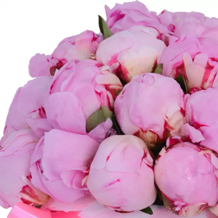 Букет из 25 розовых пионов в розовой шляпной коробке