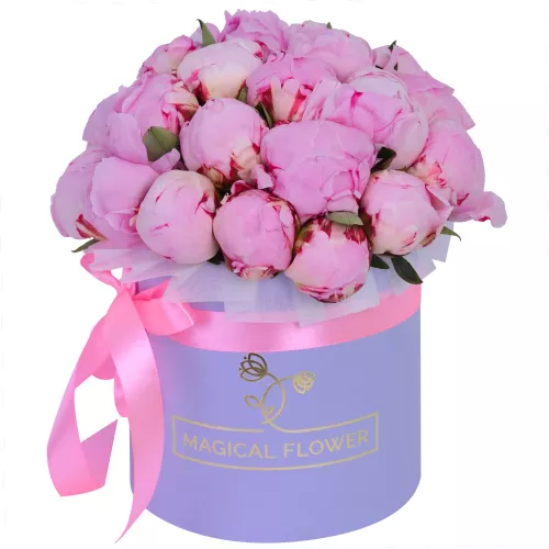 Букет из 25 розовых пионов Сара Бернар в фиолетовой шляпной коробке