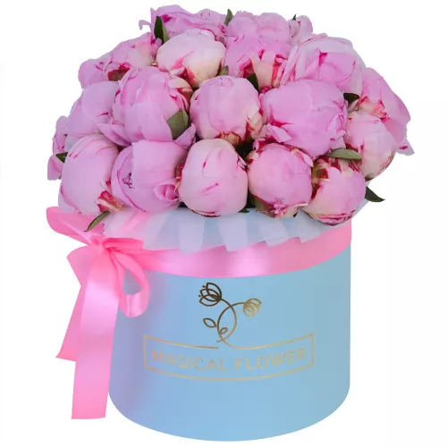 Букет из 25 розовых пионов Сара Бернар в голубой шляпной коробке