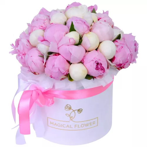 Букет из 35 разноцветных пионов в белой шляпной коробке