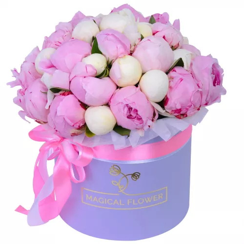 Букет из 35 разноцветных пионов в фиолетовой шляпной коробке