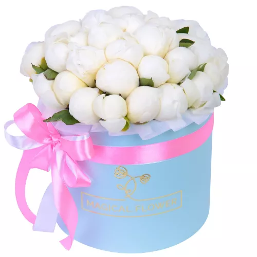 Букет из 35 белых пионов в голубой шляпной коробке