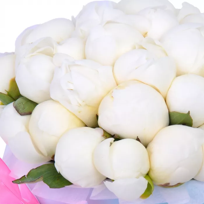 Букет из 35 белых пионов в голубой шляпной коробке