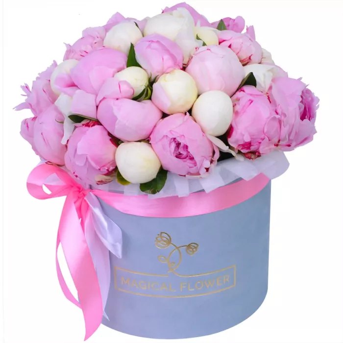 Букет из 35 разноцветных пионов в серой бархатной шляпной коробке Букет из 35 разноцветных пионов в серой бархатной шляпной коробке