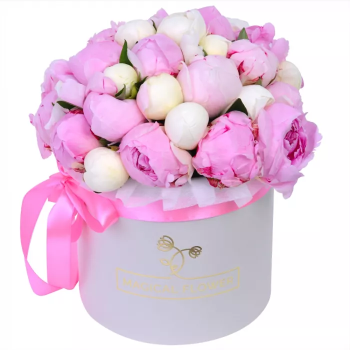 Букет из 35 разноцветных пионов в белой бархатной шляпной коробке
