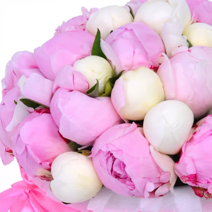 Букет из 35 разноцветных пионов в белой бархатной шляпной коробке