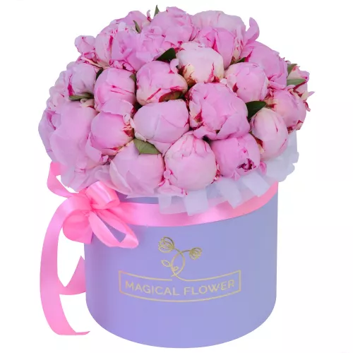 Букет из 35 розовых пионов в фиолетовой шляпной коробке