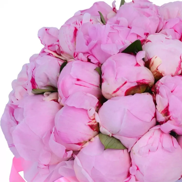 Букет из 35 розовых пионов в фиолетовой шляпной коробке