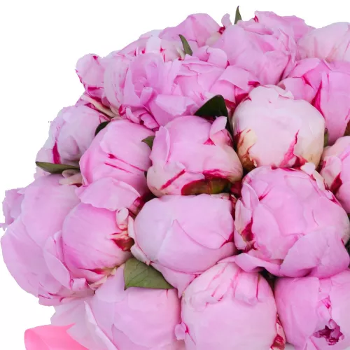 35 розовых пионов в серой бархатной шляпной коробке