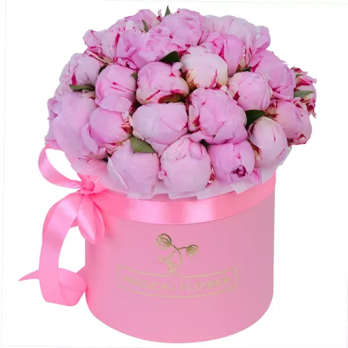 Букет из 35 розовых пионов в розовой шляпной коробке