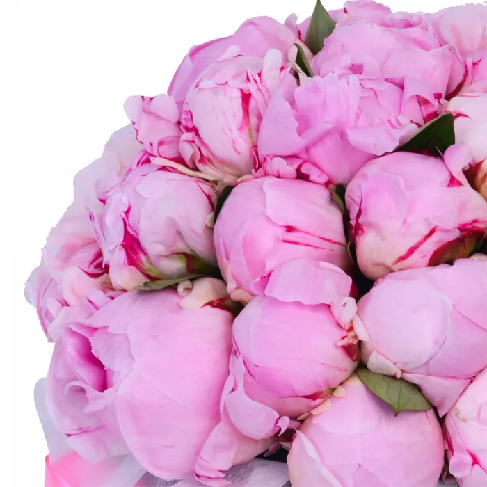 Букет из 35 розовых пионов в черной шляпной коробке