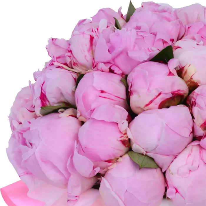 Букет из 35 розовых пионов в кремовой шляпной коробке