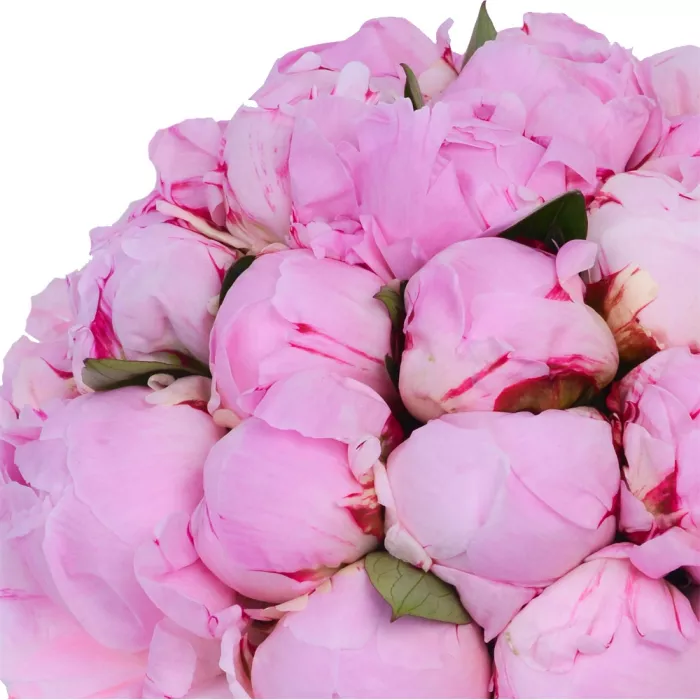 Букет из 35 розовых пионов в белой шляпной коробке