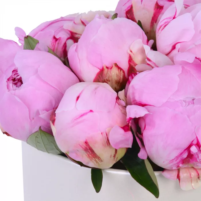 Букет из 11 розовых пионов в кремовой шляпной коробке