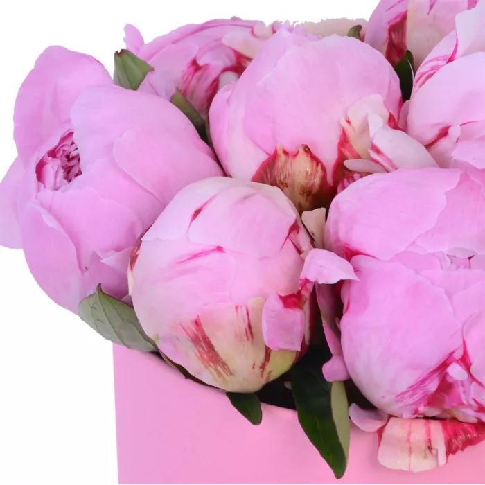 Букет из 11 розовых пионов в розовой шляпной коробке