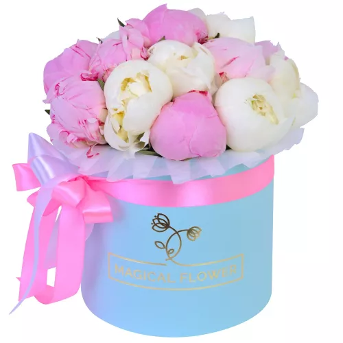 Букет из 11 разноцветных пионов в голубой шляпной коробке
