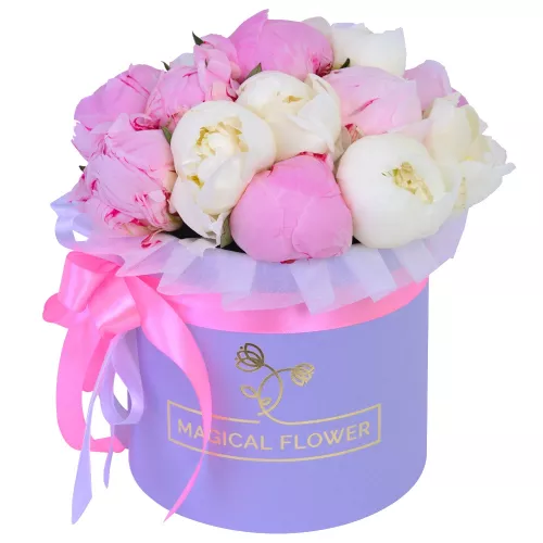 Букет из 11 разноцветных пионов в фиолетовой шляпной коробке