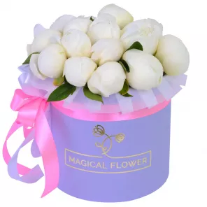 Букет из 15 белых пионов в фиолетовой шляпной коробке