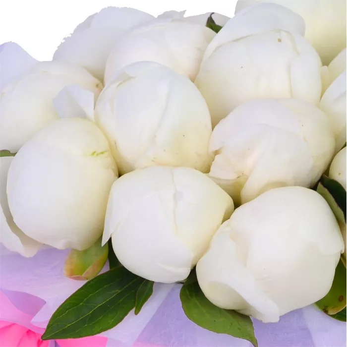 Букет из 15 белых пионов в фиолетовой шляпной коробке Букет из 15 белых пионов в фиолетовой шляпной коробке