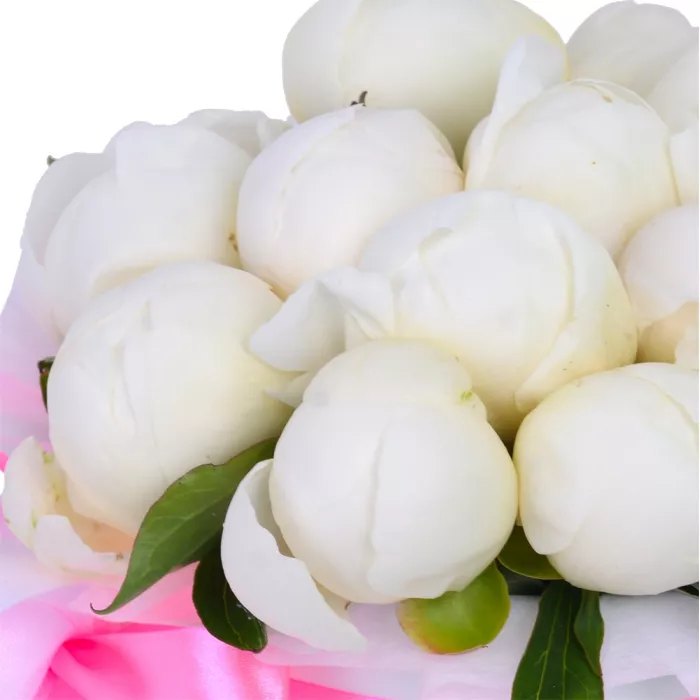 Букет из 15 белых пионов в белой шляпной коробке