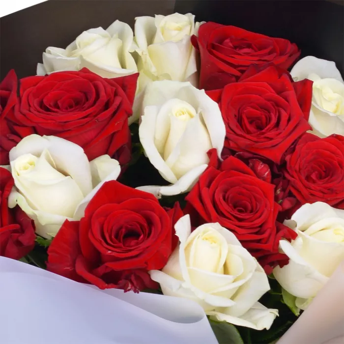 15 красных и белых роз Premium 40 см