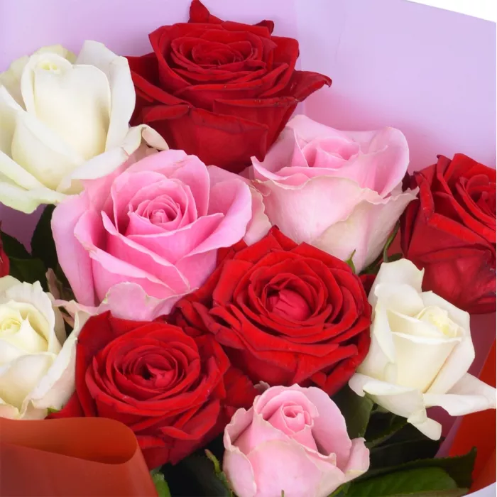 11 разноцветных роз 40 см