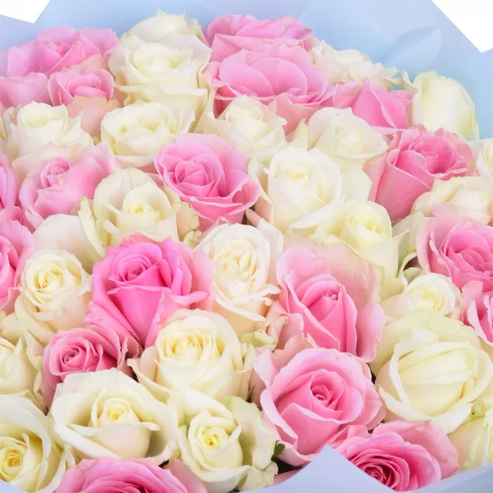 Букет из 51 белой и розовой розы premium 40 см