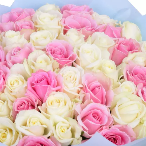 Букет из 51 белой и розовой розы premium 40 см