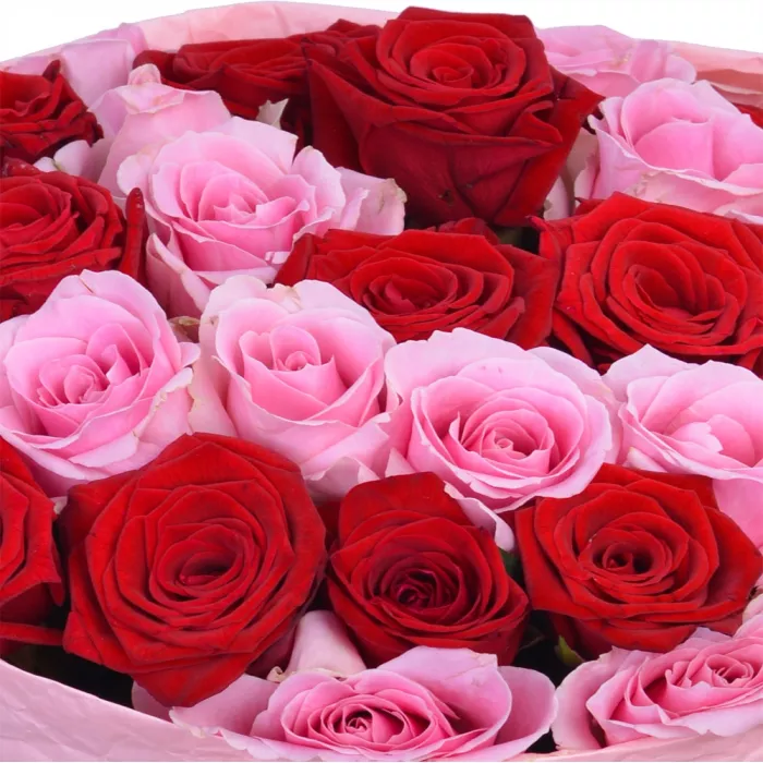 Букет из 35 разноцветных роз 40 см