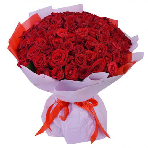 75 красных роз Premium 40 см