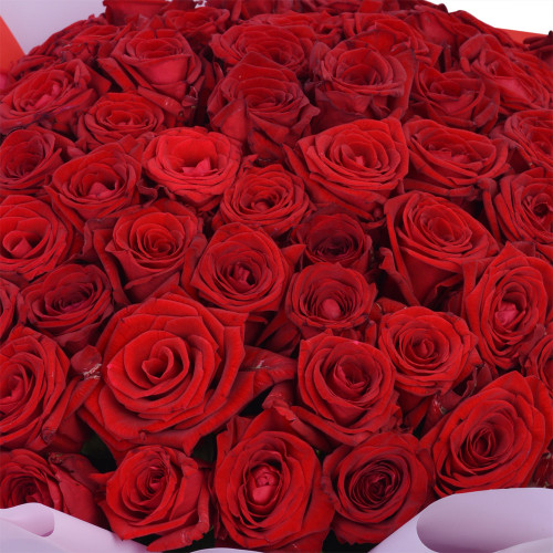 75 красных роз Premium 40 см