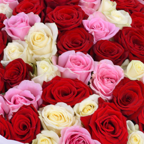 Букет на День матери из 75 разноцветных роз 40 см
