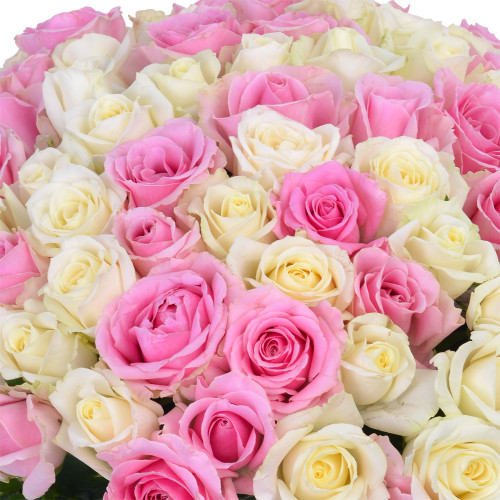 101 разноцветная роза Premium 40 см