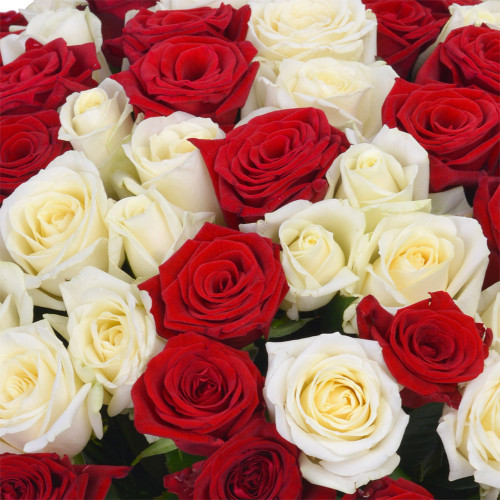 Букет на День матери из 101 разноцветной роз Premium 40 см
