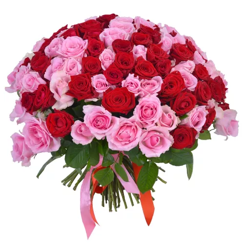 Монобукет из 101 красных и розовых роз Premium 40 см