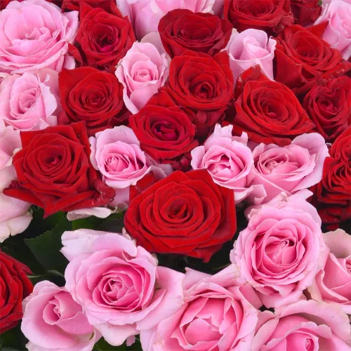 Монобукет из 101 красных и розовых роз Premium 40 см