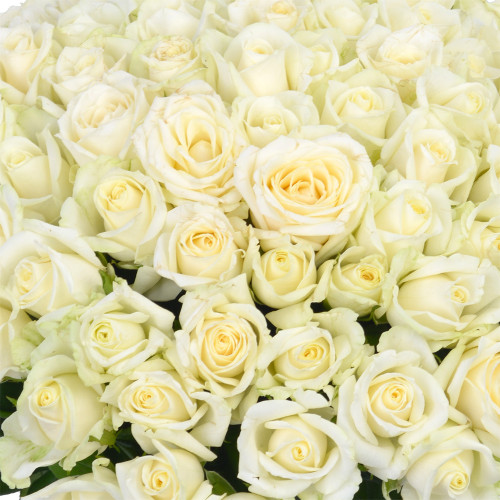 Букет на День матери из 101 белой розы Premium 40 см