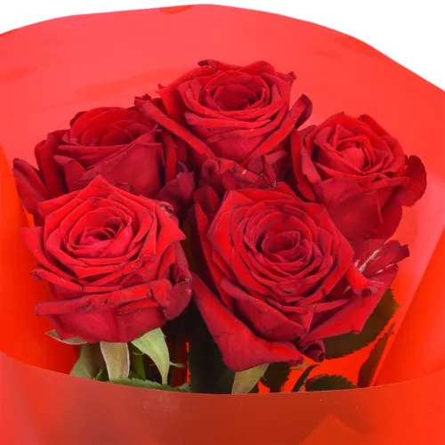 Монобукет из 5 красных розы 40 см