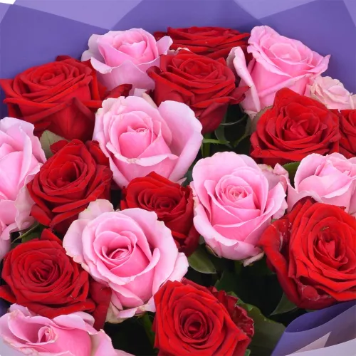 21 разноцветная роза Premium 40 см