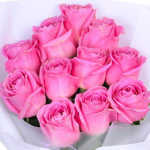 11 розовых роз 40 см