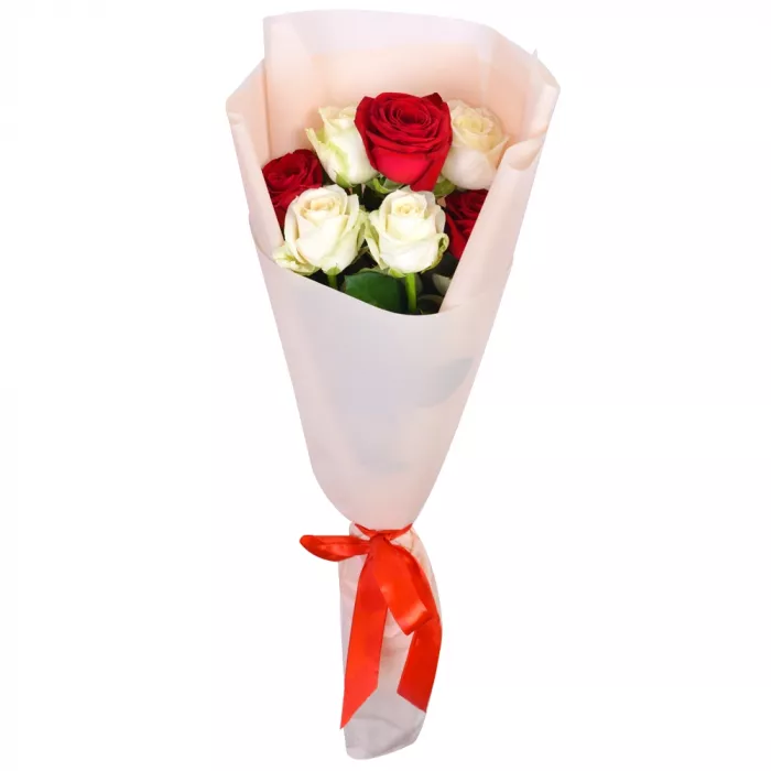 7 красных и белых роз 60 см в пленке