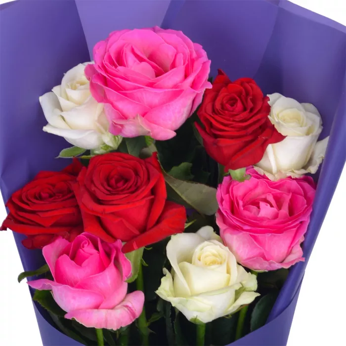Букет 9 разноцветных роз 60 см